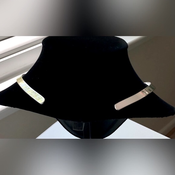 Silver Plated Necklace with Silver Sand Dollar Pendant/Brooch - Picture 6 of 13